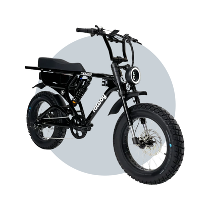 Fatboy Scramble V2 eBike 6 Months Free Service