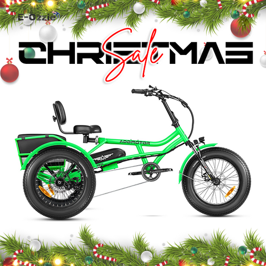 Addmotor Arisetan II M-360 Electric Trike 6 Months Free Service