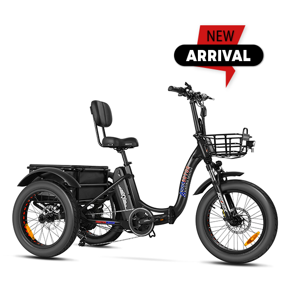 Addmotor Triketan M-330F Folding Electric Trike 6 Months Free Service