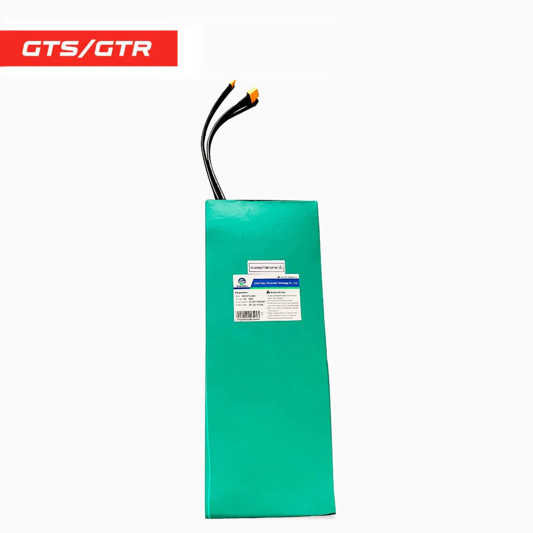 BATTERY - DRAGON GTS/GTR 48V 15AH