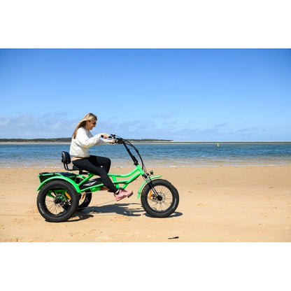 Addmotor Arisetan II M-360 Electric Trike 6 Months Free Service