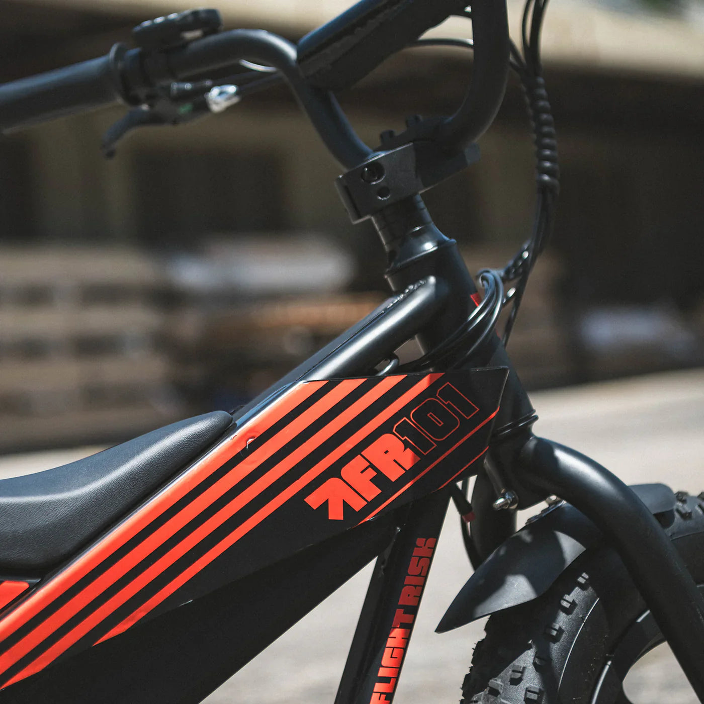 Flight Risk FR101 eBike 6 Months Free Service