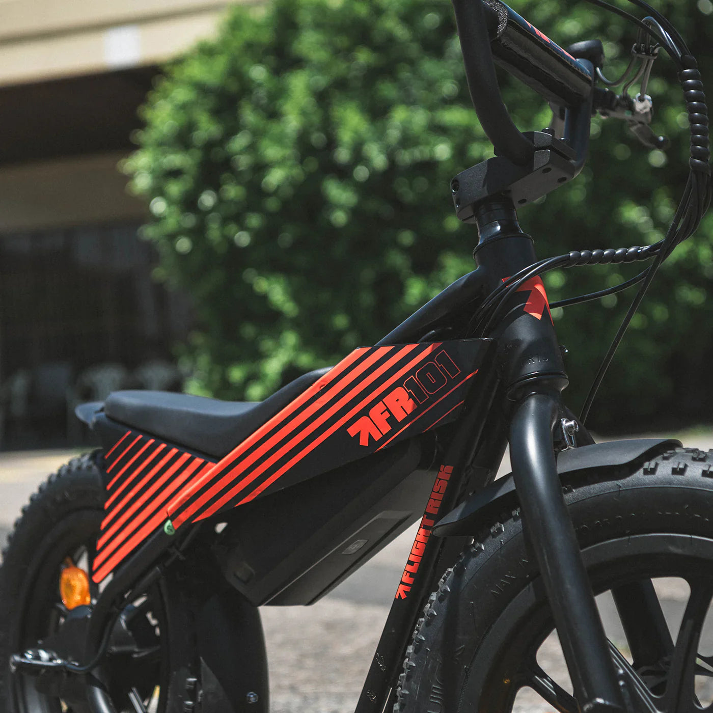 Flight Risk FR101 eBike 6 Months Free Service