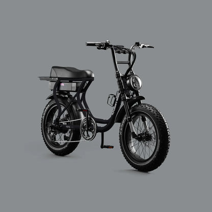 Flight Risk FR303 eBike 6 Months Free Service - Black