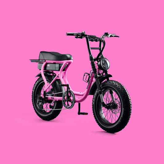 Flight Risk FR303 eBike  6 Months Free Service - Pink