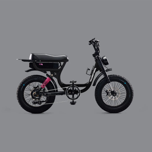Flight Risk FR333 eBike  6 Months Free Service - BLACK