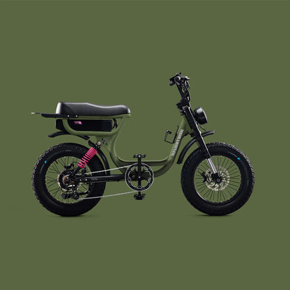 Flight Risk FR333 eBike 6 Months Free Service - OLIVE