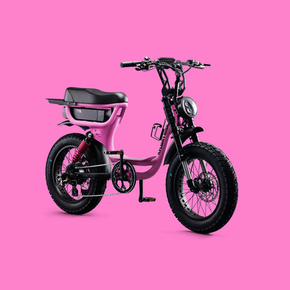 Flight Risk FR333 eBike  6 Months Free Service - PINK