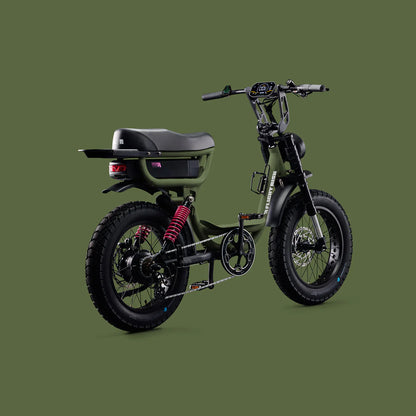 Flight Risk FR333 eBike 6 Months Free Service - OLIVE