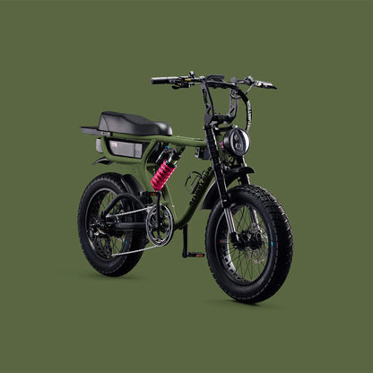 Flight Risk FR555  eBike 6 Months Free Service - Olive