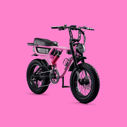 Flight Risk FR555 eBike  6 Months Free Service - Pink
