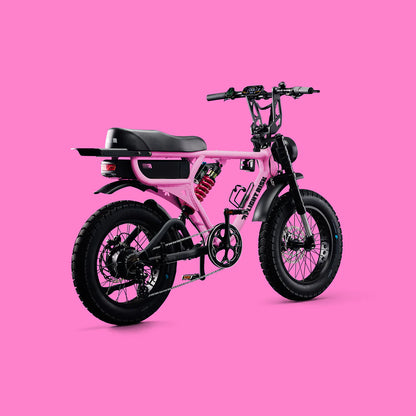Flight Risk FR555 eBike  6 Months Free Service - Pink
