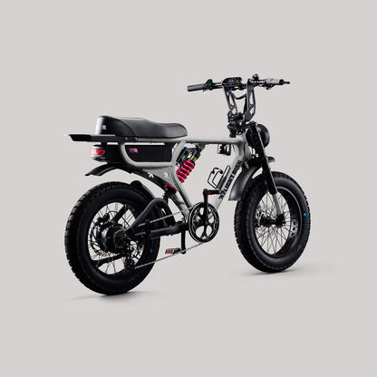 Flight Risk FR555 eBike  6 Months Free Service - Silver