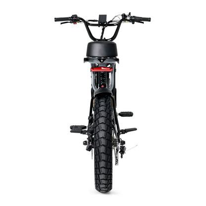 Fatboy Bagus V2 eBike 6 Months Free Service