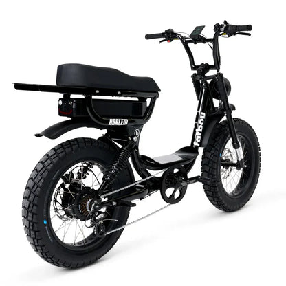 FatBoy Harlem V2 eBike 6 Months Free Service