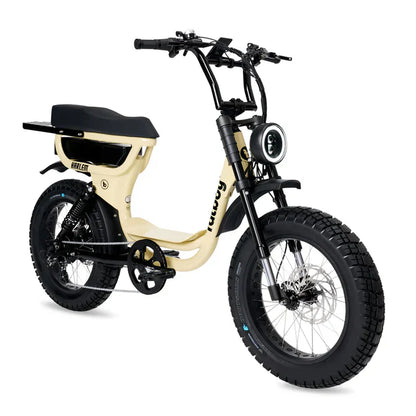 FatBoy Harlem V2 eBike 6 Months Free Service