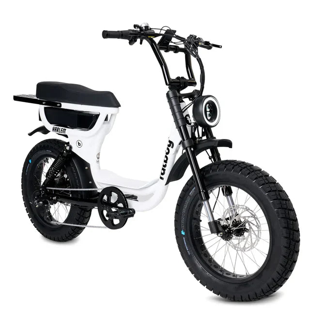 FatBoy Harlem V2 eBike 6 Months Free Service