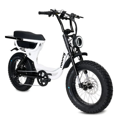 FatBoy Harlem V2 eBike 6 Months Free Service