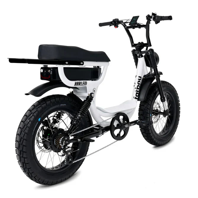 FatBoy Harlem V2 eBike 6 Months Free Service