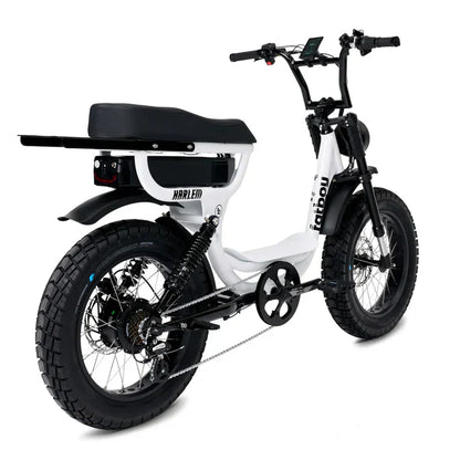 FatBoy Harlem V2 eBike 6 Months Free Service