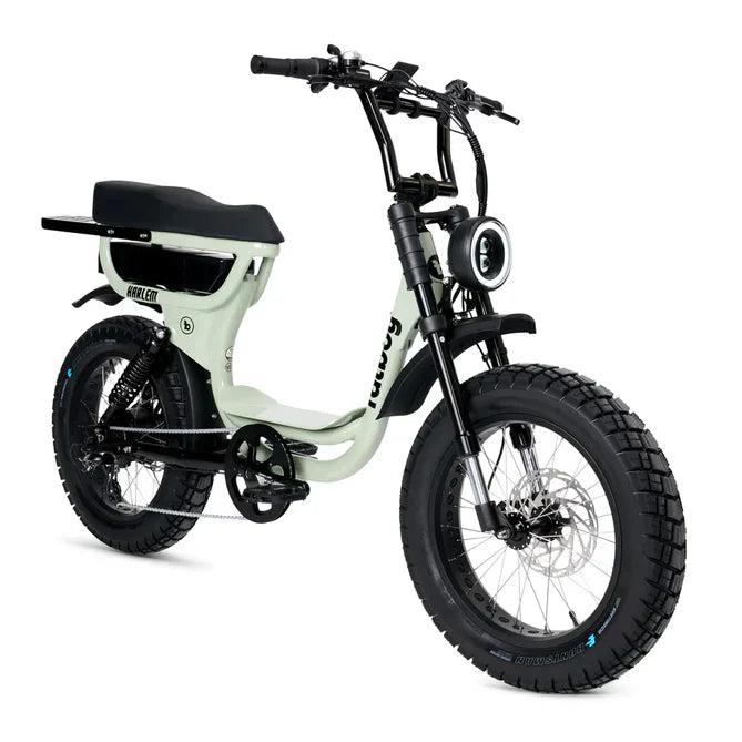 FatBoy Harlem V2 eBike 6 Months Free Service