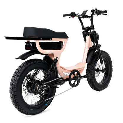 FatBoy Harlem V2 eBike 6 Months Free Service