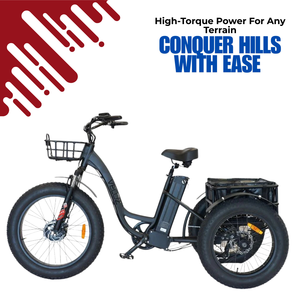 Veloz Grand-Prix Electric Trike Bike 500-750W Motor 120 Km Autonomy 20Ah Samsung Battery 150+ Kilos weight load 6 Months Free Service