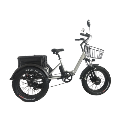 Veloz EX200 Electric Trike 500W