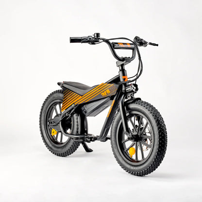 Flight Risk FR101 eBike 6 Months Free Service