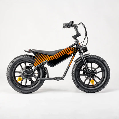 Flight Risk FR101 eBike 6 Months Free Service