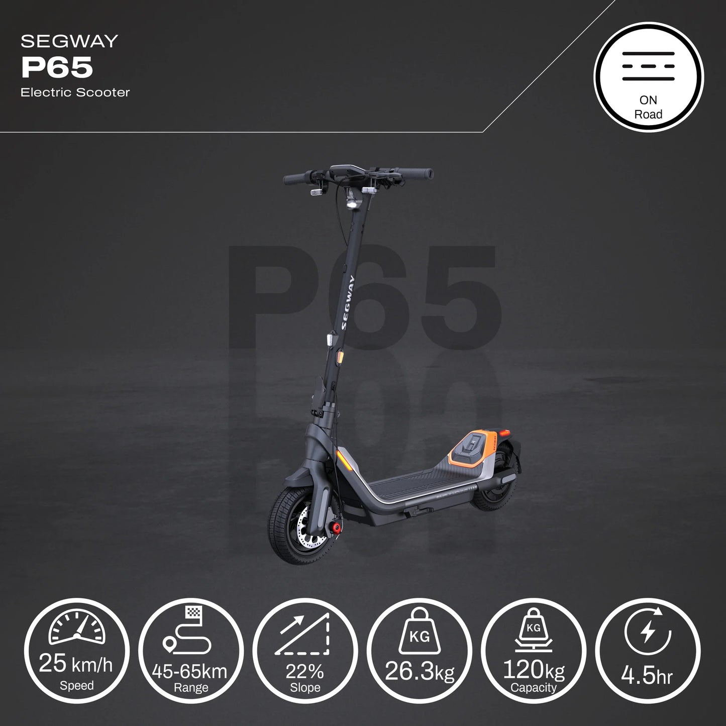 Segway-Ninebot P65A