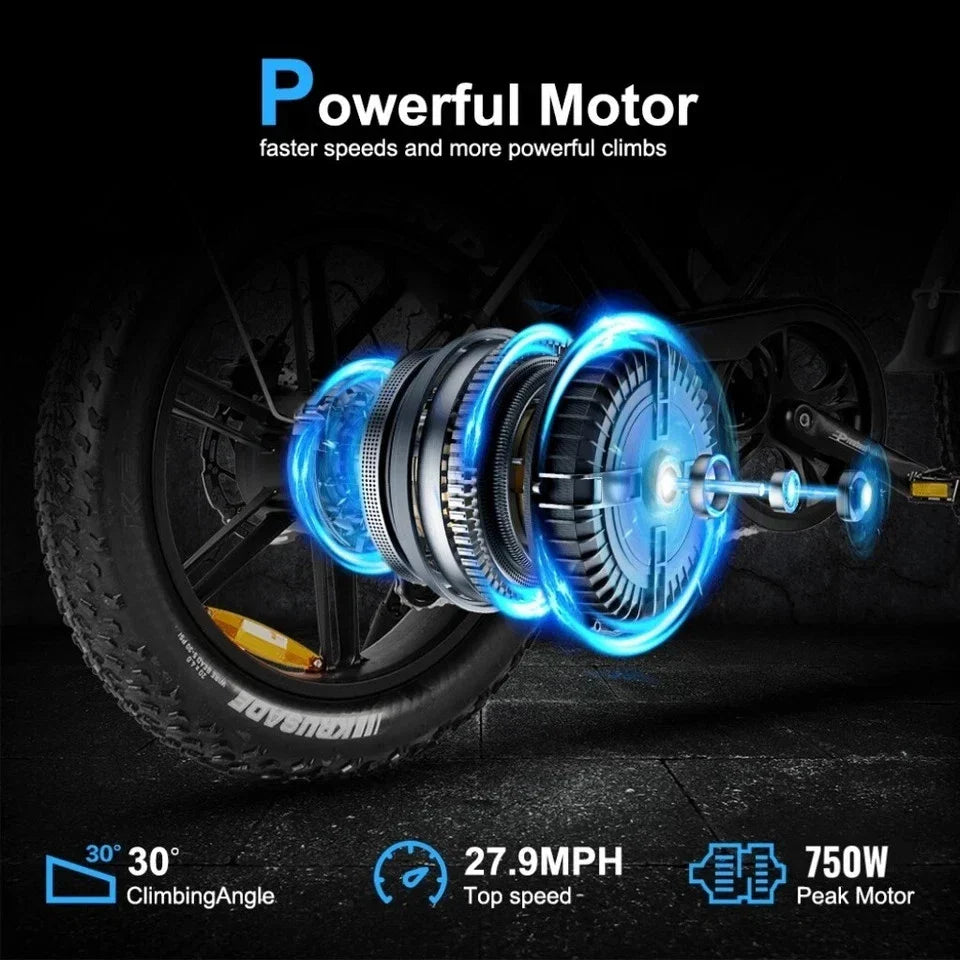 Tempest eBike 15.6Ah Battery 6 Months Free Service