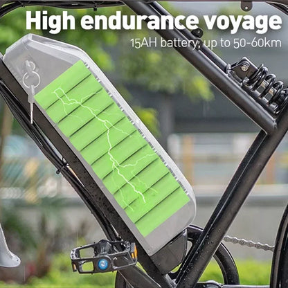 Falcon eBike Hydraulic Brake 48V 15Ah Battery 6 Months Free Service