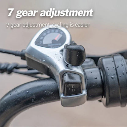 Falcon eBike Hydraulic Brake 48V 15Ah Battery 6 Months Free Service