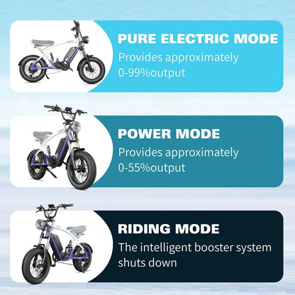 CityBeast eBike All-Terrain Bike 48V18.2AH Battery 6 Months Free Service