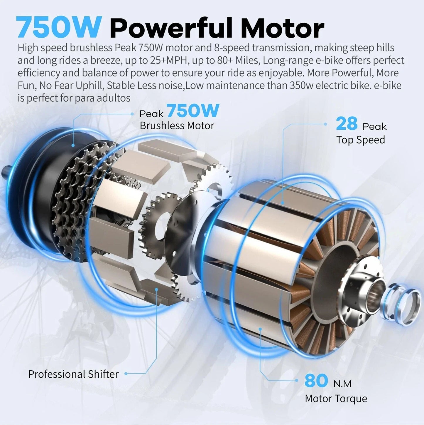Vortex eBike 48V 6 Months Free Service