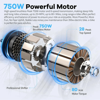 Vortex eBike 48V 6 Months Free Service