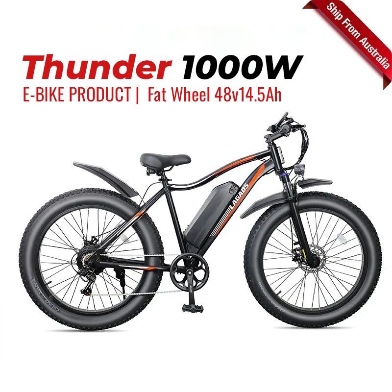 Thunder eBike Fat Wheel 48v14.5Ah 6 Months Free Service